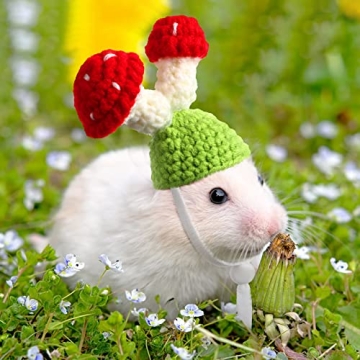 Kajaia Mini Pet Hats for Small Animals - Cute Costume Accessories