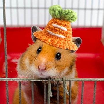 Kajaia Mini Pet Hats for Small Animals - Cute Costume Accessories