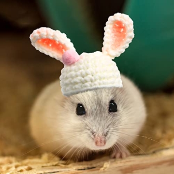 Kajaia Mini Pet Hats for Small Animals - Cute Costume Accessories