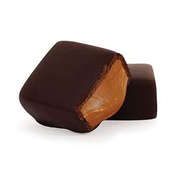 Cocomels Chocolate-Covered Vanilla Coconut Milk Caramel Squares, Organic Vegan Candy, Vanilla (15 Packs of 2)