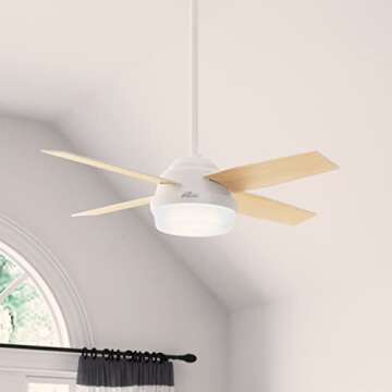 Hunter Dempsey 44" Ceiling Fan - Quiet and Efficient