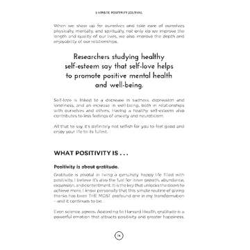 3 Minute Positivity Journal for Mindful Living