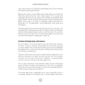 3 Minute Positivity Journal for Mindful Living