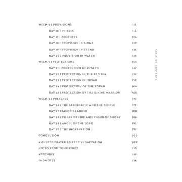 Engaging 30 Days with Jesus Bible Study Guide