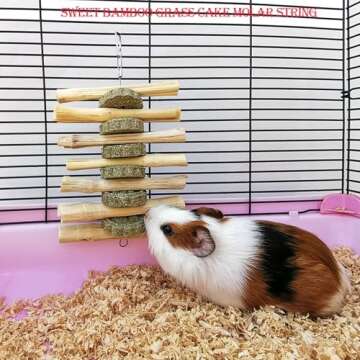 kathson Bunny Chew Toys for Teeth Grinding, Rabbit Wooden Scratch Board Feet Pad Platform Small Animals Play Toy for Guinea Pigs Chinchilla Hamsters Other Rodent Pets(E)