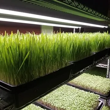 Active Grow Integrated T5 LED Grow Light for Indoor Plants