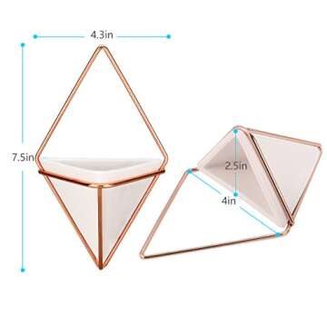 Hanging Vase,LANMU Air Plants Pots,Hanging Wall Decor,Plant Holder,Hanging Plant for Air Plants/Succulents/Cactus Plants/Office Plants/Artificial Plant (2 Pack)