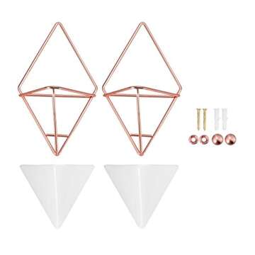 Hanging Vase,LANMU Air Plants Pots,Hanging Wall Decor,Plant Holder,Hanging Plant for Air Plants/Succulents/Cactus Plants/Office Plants/Artificial Plant (2 Pack)