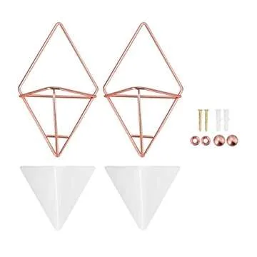 Hanging Vase,LANMU Air Plants Pots,Hanging Wall Decor,Plant Holder,Hanging Plant for Air Plants/Succulents/Cactus Plants/Office Plants/Artificial Plant (2 Pack)