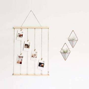 Hanging Vase,LANMU Air Plants Pots,Hanging Wall Decor,Plant Holder,Hanging Plant for Air Plants/Succulents/Cactus Plants/Office Plants/Artificial Plant (2 Pack)