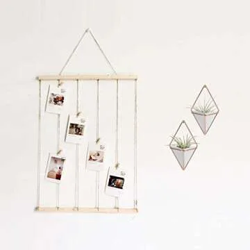 Hanging Vase,LANMU Air Plants Pots,Hanging Wall Decor,Plant Holder,Hanging Plant for Air Plants/Succulents/Cactus Plants/Office Plants/Artificial Plant (2 Pack)