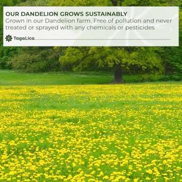 Tagalica Dandelion Root Tea Bags - Natural Detox & Flavorful