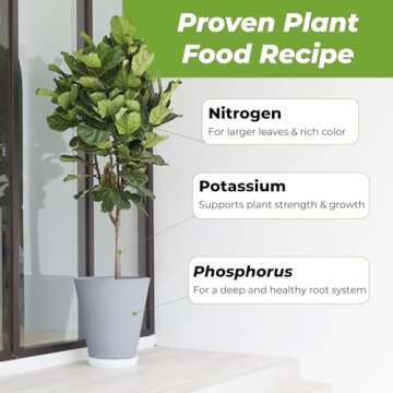 Perfect Plants Liquid Fiddle Leaf Fig Fertilizer | 8oz. of Premium Concentrated Indoor Ficus Food | Get Big Leaves and Healthy Plants