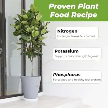 Perfect Plants Liquid Fiddle Leaf Fig Fertilizer | 8oz. of Premium Concentrated Indoor Ficus Food | Get Big Leaves and Healthy Plants