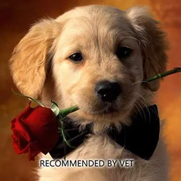 6" Long Cotton Swabs 600pcs for Makeup, Gun Cleaning or Pets Care