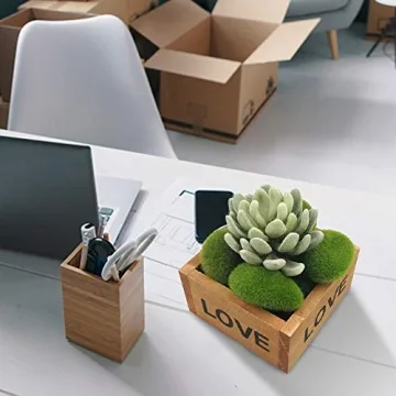 BigOtters 24 PCS Artificial Moss Rocks for Crafts and Decor