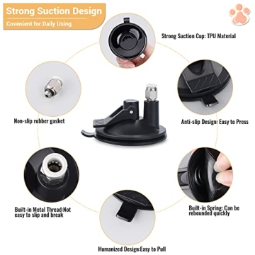 Interactive Cat Toy with Super Suction Cup for Cats