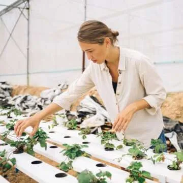 Oasis Horticube Sheets for Hydroponic Growing Cubes - 828 Cells