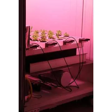 Oasis Horticube Sheets for Hydroponic Growing Cubes - 828 Cells