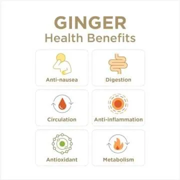 The Ginger People Ginger Rescue® Chewable Tablets Drug Free Digestive Health, 5.5 oz Chewable Tablets, Mighty Mango Flavor, Kid Friendly, 0.55 Oz, 24 Count (Pack of 1)
