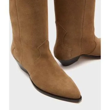 XBKXMK Suede Knee High Boots for Women Pointed Toe Cowboy Boots Chunky Low Heels Tall Long Boots Dressy Pull on Wide Calf Fashion Casual