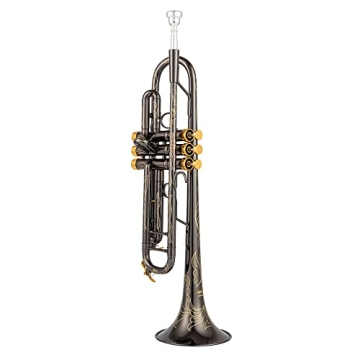 Singer's Day SDTR-2019B Trumpet with Engraved Finish