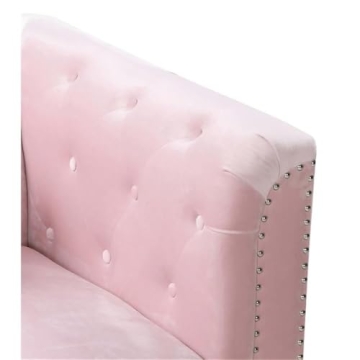 Glory Furniture Pompano Velvet Loveseat Stylish in Pink