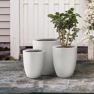 Stylish Round Concrete Planters for Indoor Outdoor Decor