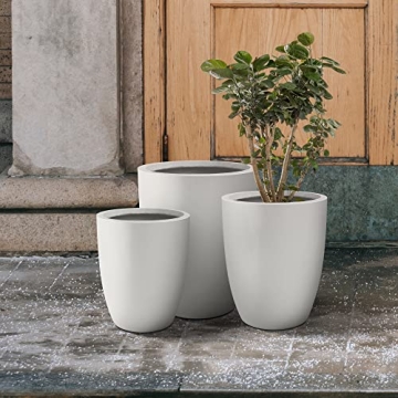 Stylish Round Concrete Planters for Indoor Outdoor Decor