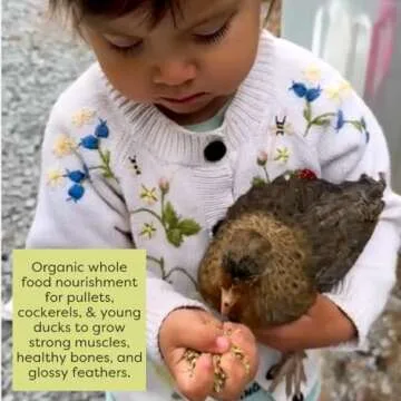 Scratch and Peck Whole Grain Grower Mash Chicken and Duck Feed - Corn-Free and Soy-Free - 17% Protein, Certified Organic and Non-GMO Project Verified Chicken Food - 10 lbs Bag