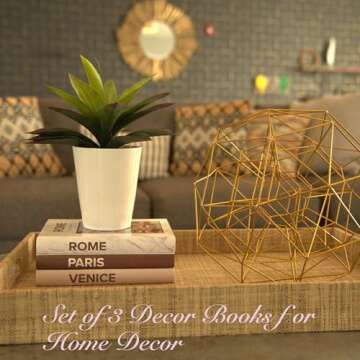 Decorative Books for Home Decor - Set of 3 Hardcover Decor Books for Shelves, Faux Books for Decorat...