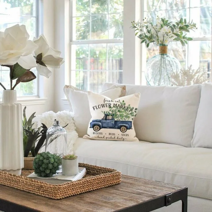 Eucalyptus Pillow Covers Set of 4 for Home Decor