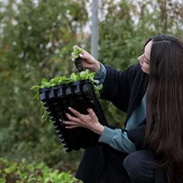 Bootstrap Farmer Air Prune Seed Tray - 72 Cells, 5 Pack