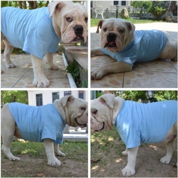 Lovelonglong Dog T-Shirt Comfort for Bulldogs and Pugs