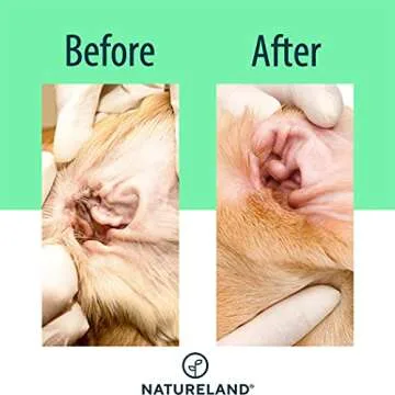[150 pcs Extra-Large] Natureland Dog Ear Wipes - Extra Large Pads [170%] - Otic Cleaning Wipes for Infections and Controlling Ear Infections and Ear Odor in Pets