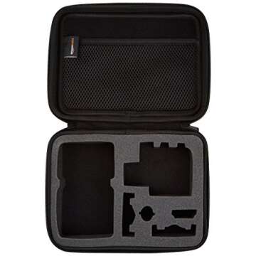 Amazon Basics Small Carrying Case for GoPro And Accessories, 9 x 7 x 2.5 Inches, Solid, Black