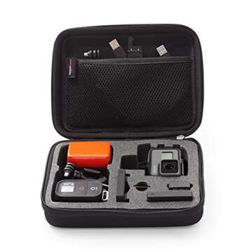 Amazon Basics Small Carrying Case for GoPro And Accessories, 9 x 7 x 2.5 Inches, Solid, Black