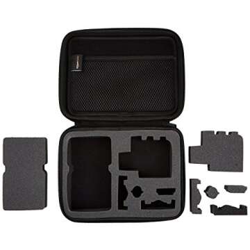 Amazon Basics Small Carrying Case for GoPro And Accessories, 9 x 7 x 2.5 Inches, Solid, Black