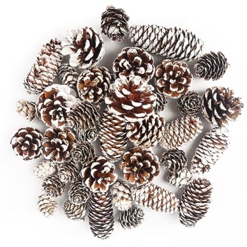 JOHOUSE 40PCS Snow Pinecones for Decorating, Natural Pine Cones for Crafts Christmas Pine Cone Ornam...