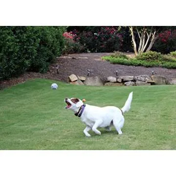 Unique Dog Fetch Squeaker Balls Animal Prints 18 Pack