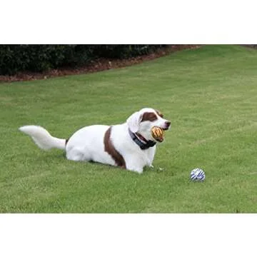 Unique Dog Fetch Squeaker Balls Animal Prints 18 Pack