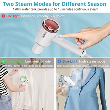 Portable Steamer for Clothes - Oragerju 2 in 1 Travel Iron