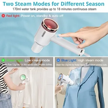 Portable Steamer for Clothes - Oragerju 2 in 1 Travel Iron