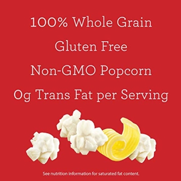 Skinnygirl Butter Sea Salt Microwave Popcorn 10 Mini Bags