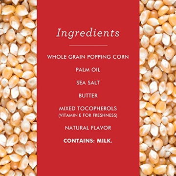 Skinnygirl Butter Sea Salt Microwave Popcorn 10 Mini Bags