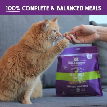 Stella & Chewy Freeze-Dried Raw Cat Morsels – Duck Recipe