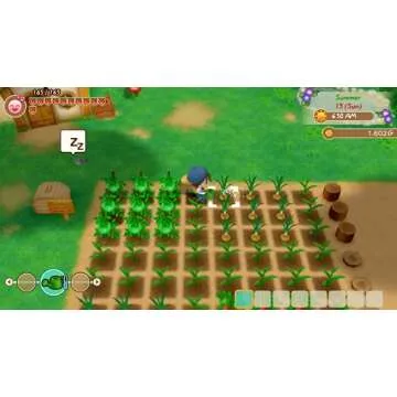 Story of Seasons: Friends of Mineral Town Xbox One Game