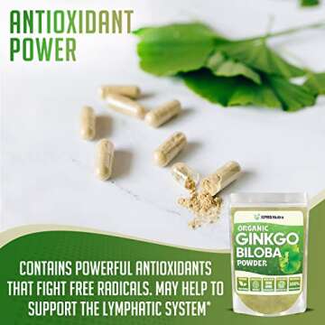 XPRS Nutra Ginkgo Biloba Powder for Cognition Boost