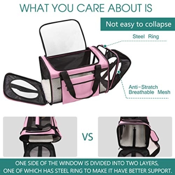 Prodigen Airline Approved Pet Carrier for Small Pets