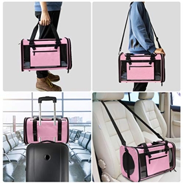 Prodigen Airline Approved Pet Carrier for Small Pets